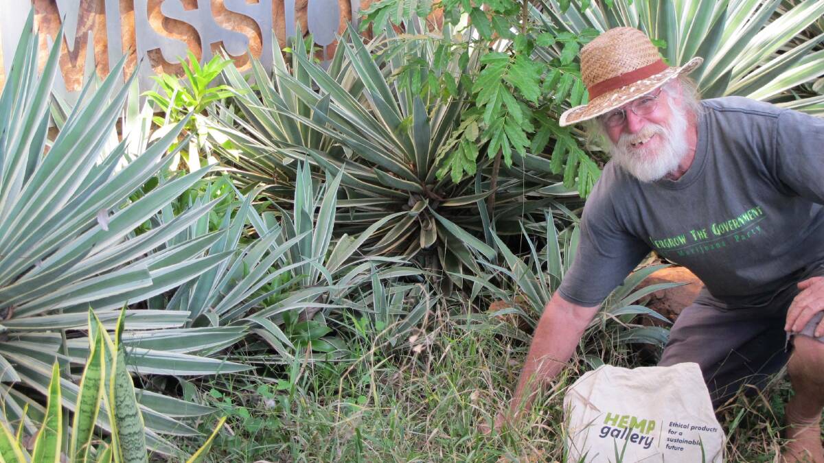 On drugs: Marijuana party candidate Michael Balderstone has been wandering around the North West, planting "seeds of hope and sanity". Photo: Supplied.