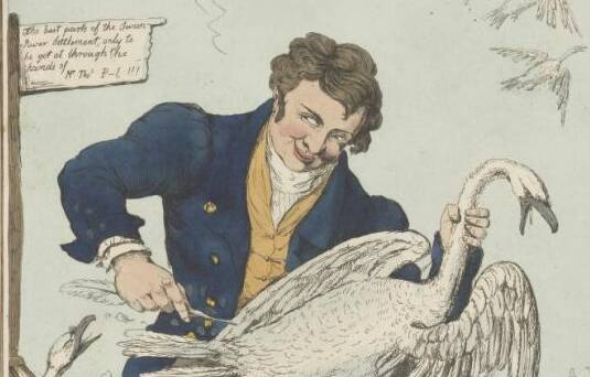 What's in a name: There are no known photographs of Thomas Peel, but caricatures of him from the mid-1800s show him plucking feathers from a swan. Photo: National Library of Australia