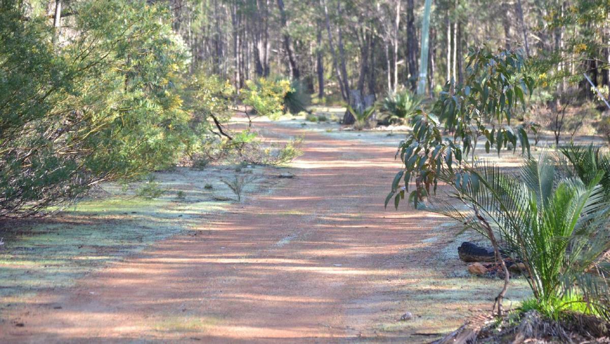 On track: A new development project is slated to transform Dwellingup's trails into a tourism hot spot. Photo: Justin Rake.