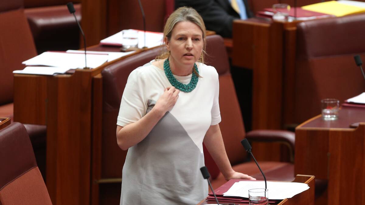 'Right wing agenda': Senator Louise Pratt, pictured arguing against the same-sex marriage plebiscite in 2016, has labelling Andrew Hastie 'out of touch' and pursuing a 'right wing agenda'. Photo: Andrew Meares.