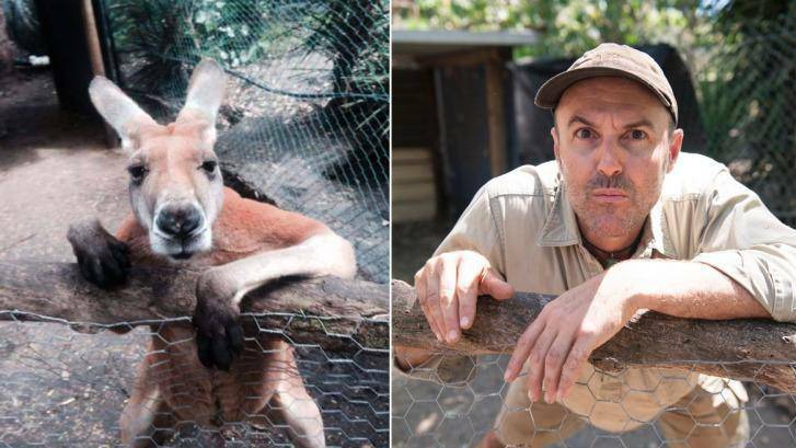 Up for sale: Peel Zoo owner David Cobbold does his best impression of Jack the Kangaroo. Photo: Supplied.