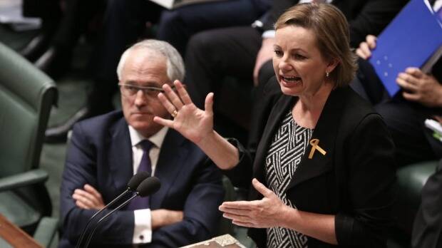 Prime Minister Malcolm Turnbull and health minister Sussan Ley in parliament. Photo: SMH.