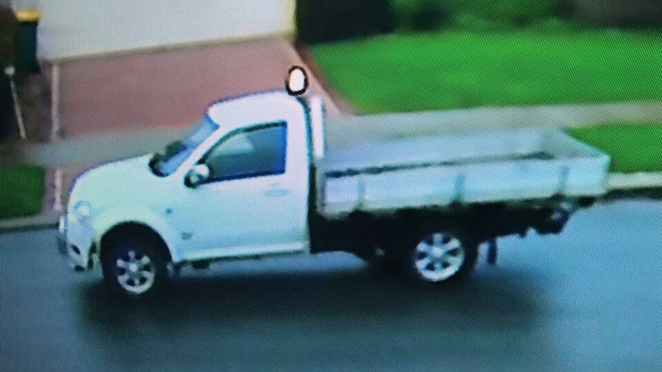Mr de Jager says this ute took out his fence, then fled the scene. Photo: Supplied.