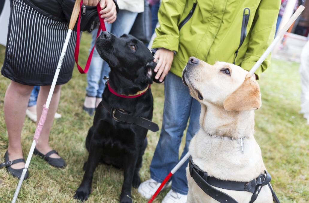 Community: Blind Citizens WA will hold a series of meetings in Mandurah to assist local blind and visually impaired people in broadening their network and learning more about advocacy and active citizenship. Photo: iStock.