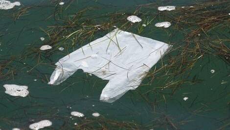 Plastic bags that make their way into the waterways pose a serious health problem to marine wildlife. Photo: Sydney Morning Herald.