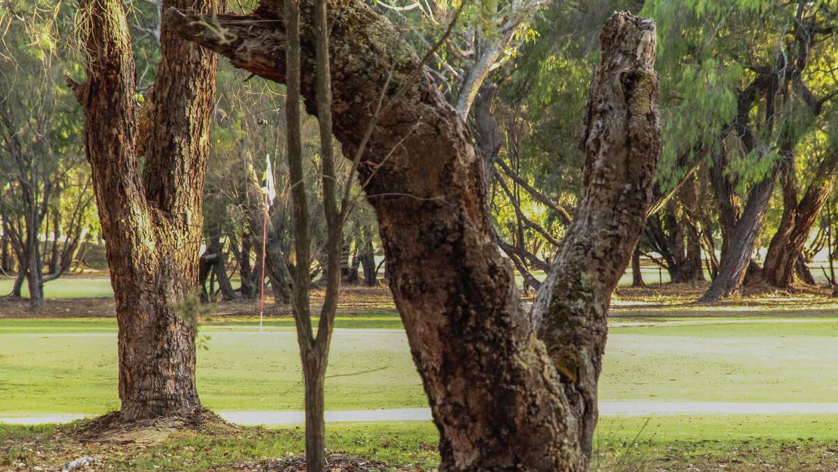 UNIQUE RECREATIONAL EXPERIENCE: Broadwater Par 3 provides a recreational golf option to locals and travelers, along with facilities for golfers and non-golfers alike.