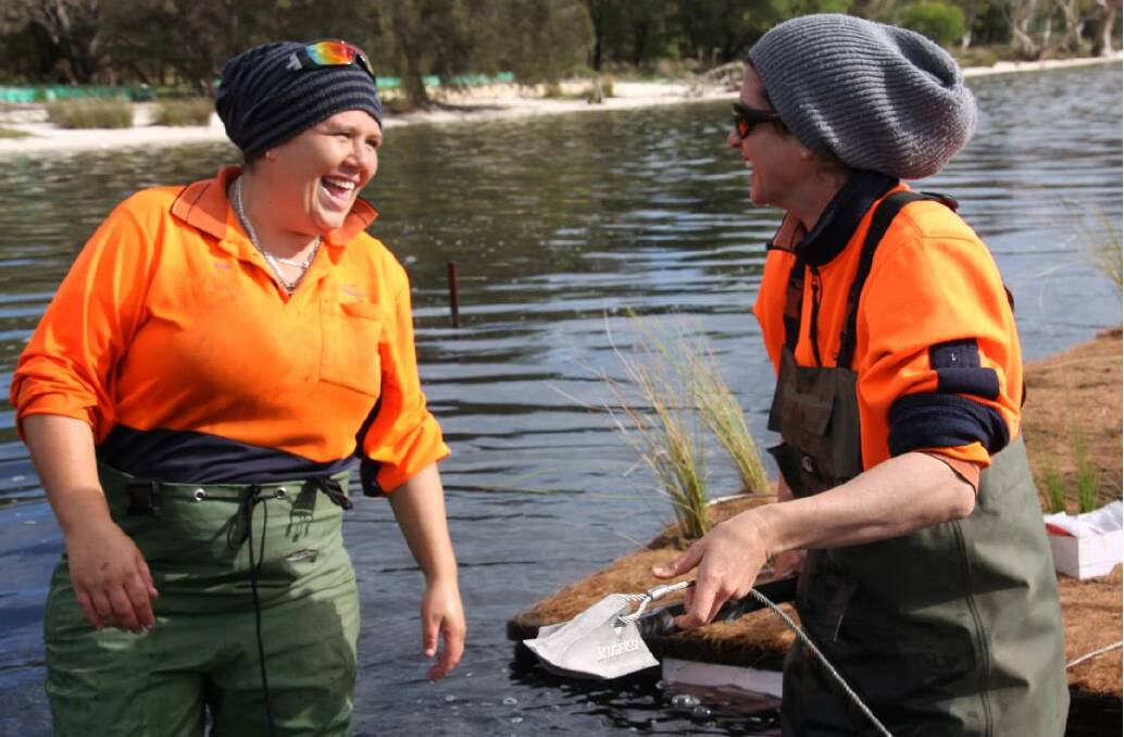 Islands in the stream: Green Army members installing the floating vegetated islands. Photo: City of Mandurah.