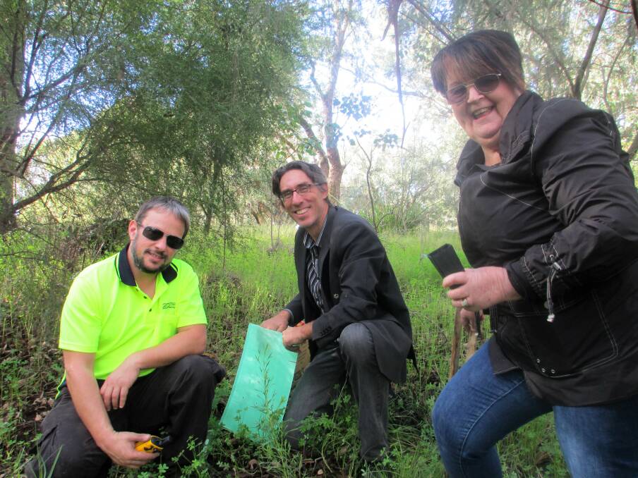 Top seeds: Shire of Murray environmental services coordinator Tom Lerner, planning and sustainability director Rode Peake and president Maree Reid planting new saplings. Photo: supplied.