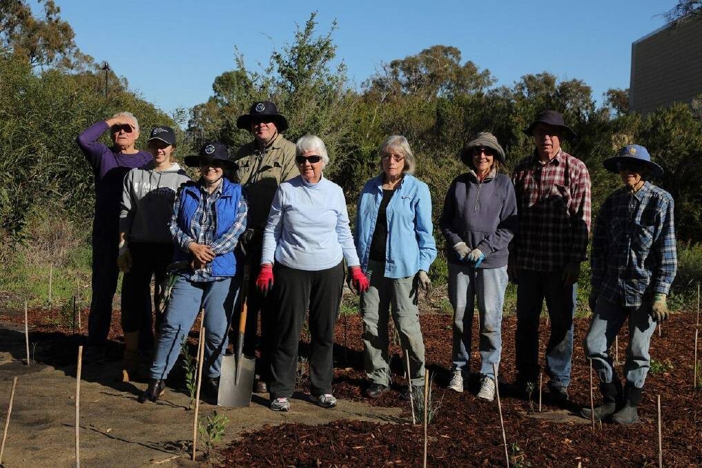 Going bush: The Friends of Samphire Cove plant trees in the biodiversity hotspot which serves as a landing for migrating egrets. Photo: Facebook/Mandurah Tree Advocates.