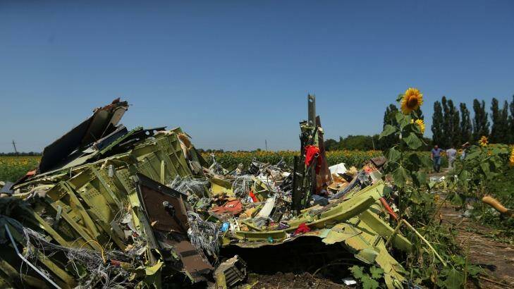 Debris from the front section of Malaysian flight MH17 on the outskirts of Rassypnoe village in the self proclaimed Donetsk People's Republic, Ukraine. Photo: Kate Geraghty