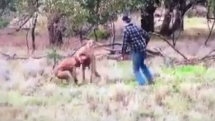 The man rushes to save his dog who is in the kangaroo's grip.  Photo: Facebook
