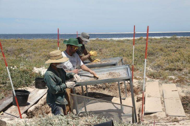 Batavia's mysteries unfold with mass grave found on Abrolhos Islands