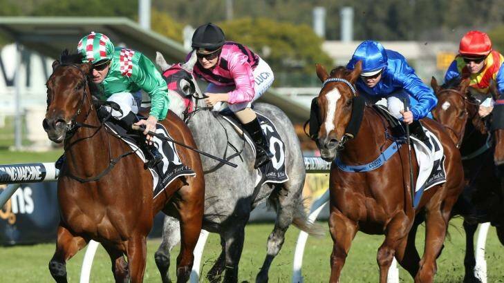 First Sydney winner:  Hard To Hold scored well at Rosehill on Saturday. Photo: Anthony Johnson
