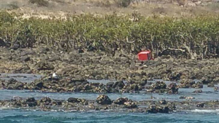 Teams will be searching the mangroves to the east of Dixon Island. Photo: Supplied