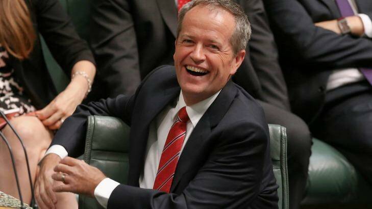 Opposition Leader Bill Shorten during Question Time at Parliament House in Canberra on 23 February 2016. Photo: Alex Ellinghausen