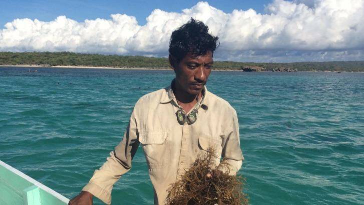 A seaweed farmer from the Indonesian island of Rote, where locals say their fish stocks and seaweed crops were devastated after the 2009 Montara oil spill in the Timor Sea. Photo: Jewel Topsfield