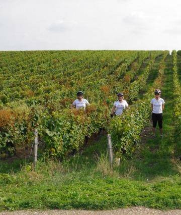 Recreation of a scene from <i>The Way</i> in Vouvray vineyards. Photo: Chris Sparks