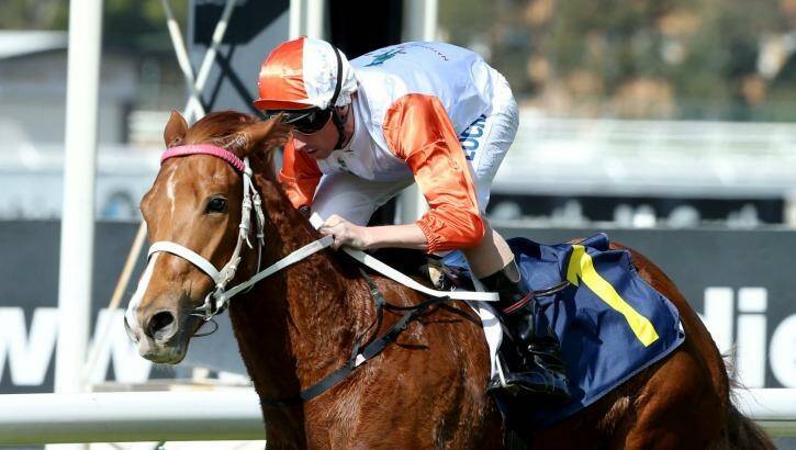 : Nash Rawiller and Japonisme cruise to victory at Rosehill on Saturday. Photo: Bradley Photos