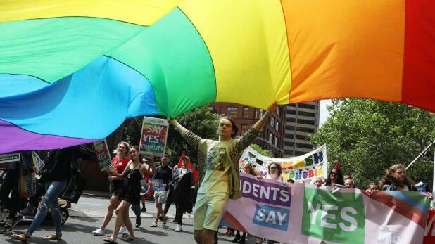 A man holds a rainbow flag during a march in support of marriage equality near Victoria Park in Sydney. Photo: AAP
