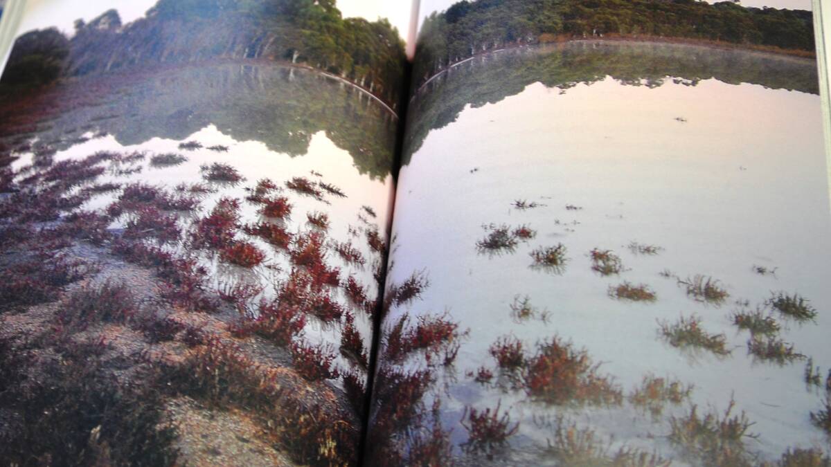 THE Lake’s Apprentice by Annamaria Weldon offers an intimate portrait of the chain of lakes between Mandurah and Bunbury – in particular, Lake Clifton in Yalgorup National Park.