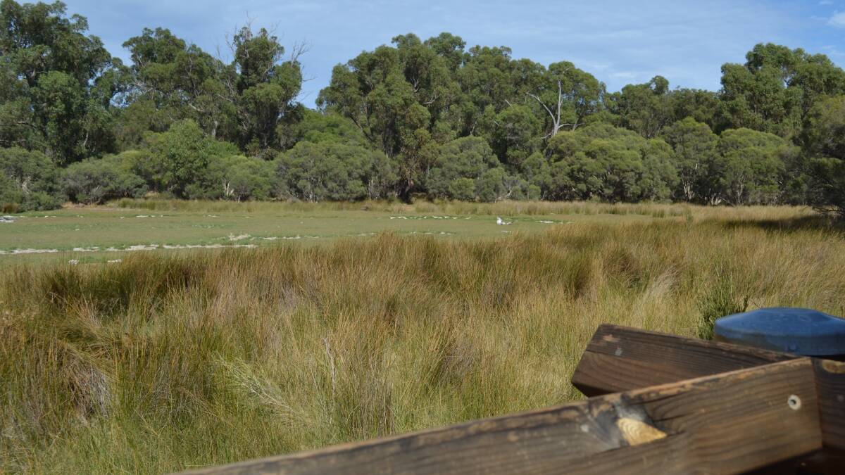 City of Mandurah purchases bushland for protection