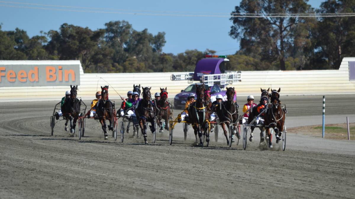 A big crowd enjoy a good day of racing at Pinjarra Paceway on Monday.
