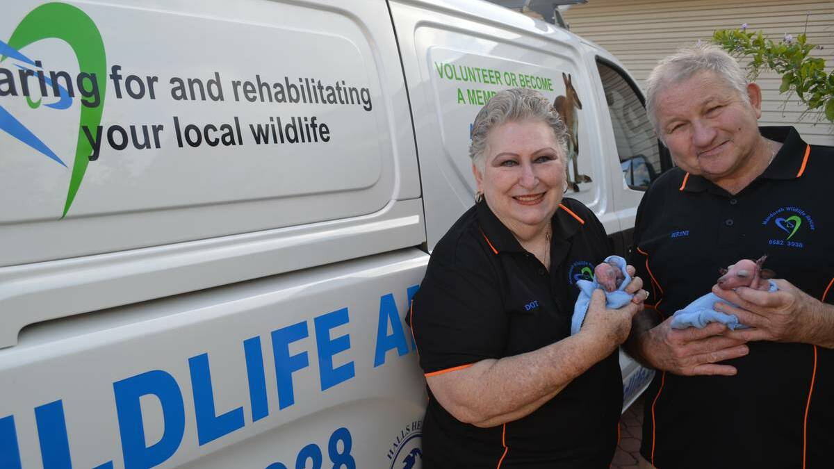 HALLS Head Small Animal Clinic was recognised for years of service with the Mandurah Wildlife Rescue recently.