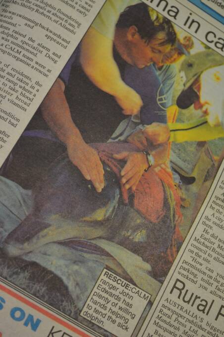 1995: A male dolphin who was rescued from Soldier’s Cove the year before after becoming stranded, was rescued again on this day in 1995. 