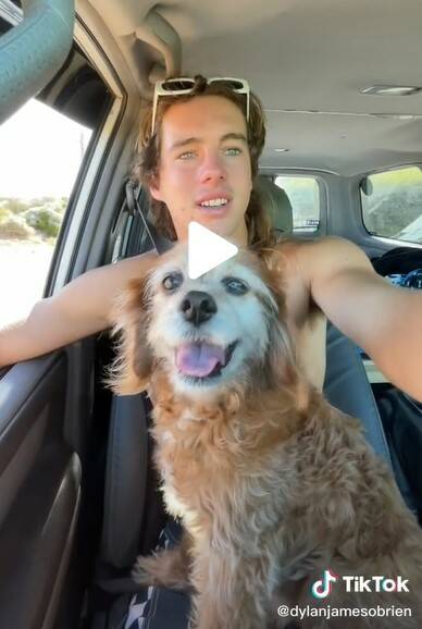 BFFS: Dylan's 14-year-old dog Ollie is the co-star in the majority of his Tik Toks. Photo: Dylan James O'Brien. 