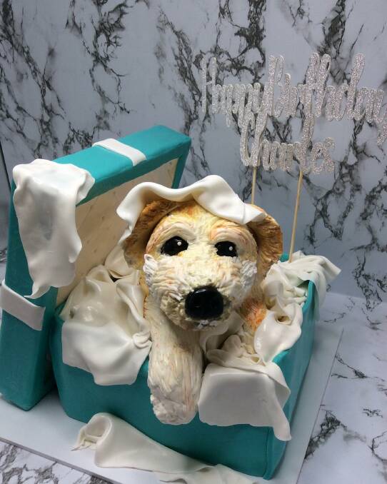 FURRY FRIEND: A very special cake of someone's furry friend. Photo: Skye's Cakes. 