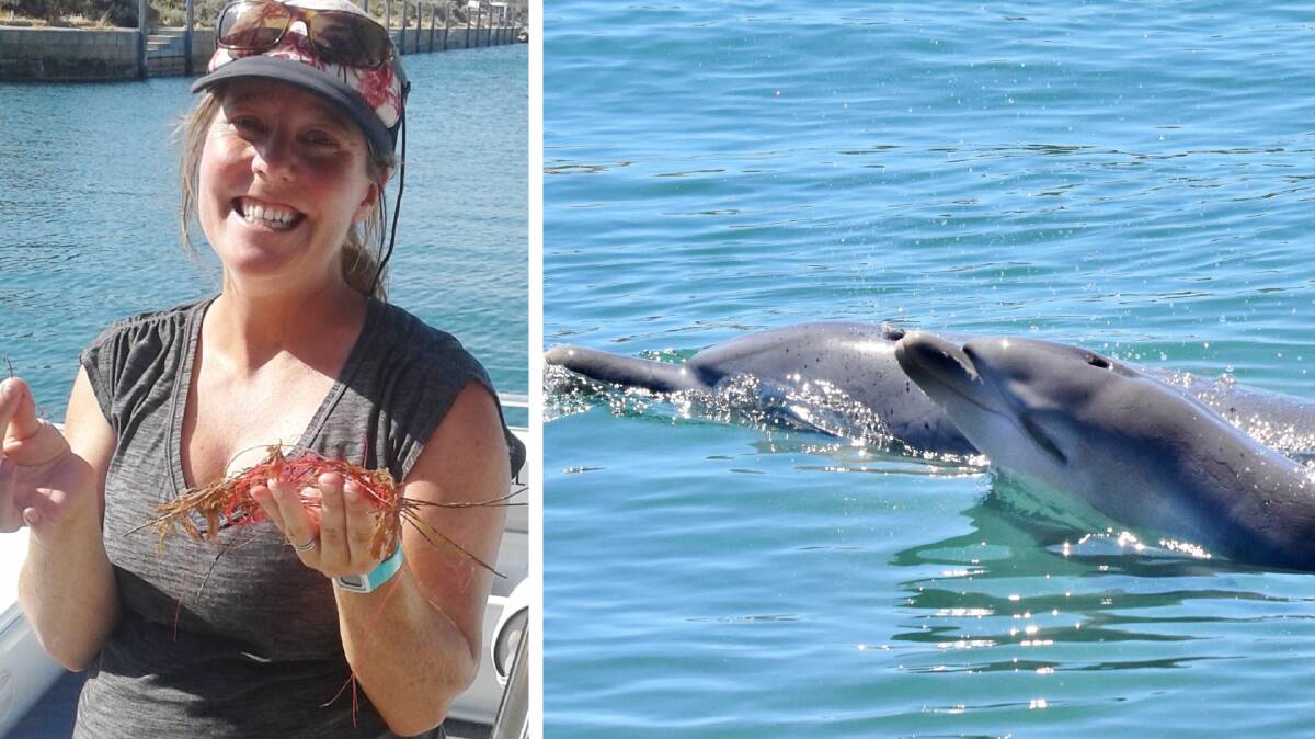NEWBORNS: Dr Krista Nicholson says four new dolphin calves were spotted in Mandurah estuary, bringing the total dolphin births for this year to 13. Photo: Estuary Guardians Mandurah Facebook.