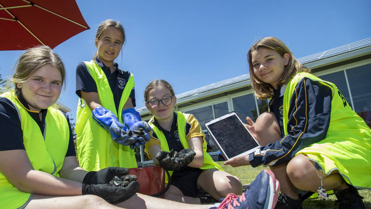 HEALTHY ESTUARY: Volunteers and school groups with access to a private jetty are encouraged to get in touch with The Nature Conservancy to assist with round two of the program. Photo: Supplied.