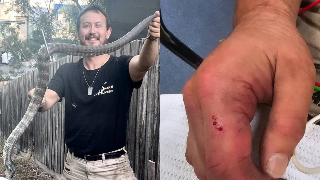 Mark Pelley, aka The Snake Hunter, with a tiger snake (left), and the bite to his hand sustained during a capture on March 10. Pictures via Facebook/@TheSnakeHunter