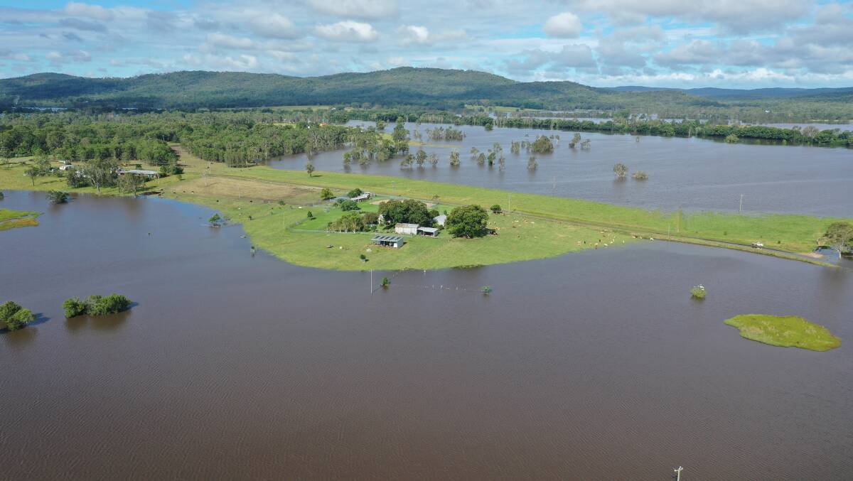 Flooding at Peter Lake's Ulmarra farm in 2022. Picture supplied by Peter Lake