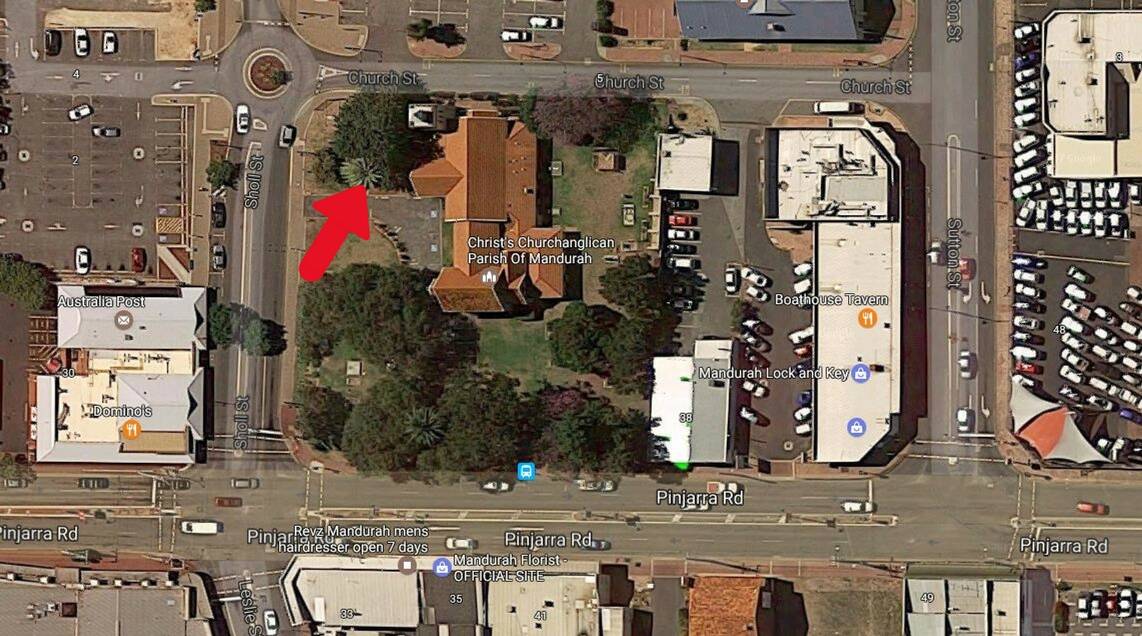 The location of the tree before the collapse. Image: Google Maps.