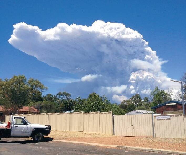 Pyrocumulonimbus cloud observed from Dwellingup at 11.34am on January 7. The upper part of the plume appears to be under a westerly wind influence. Photo: Steve Gunn, Parks and Wildlife, Dwellingup.