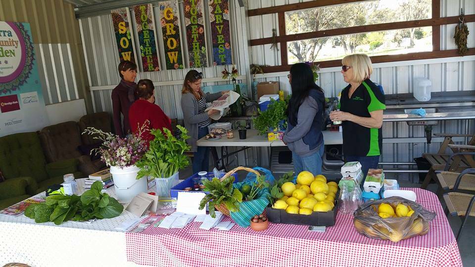 Growth plans: The Pinjarra Community Garden is hoping for a significant upgrade of its facilities. Photo: Supplied.