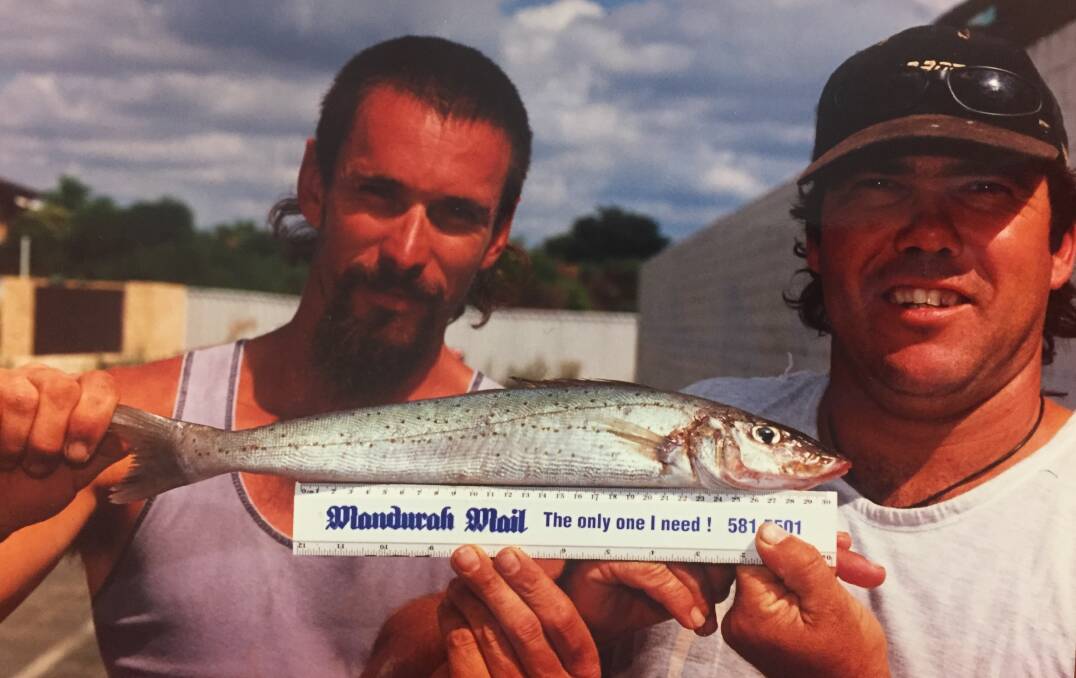 The only one: Keen fishermen show off their catch measured against a Mandurah Mail ruler. Photo: Mandurah Mail Archive.