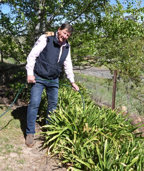 WATER WISE: Gardening expert Reg Kidd says there are plenty of ways to help your garden with little watering time. Photo: CARLA FREEDMAN 