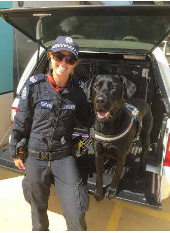 Drug Detection Dog Handler Senior Constable O'Keefe with 'Henry' after a successful operation at the Mandurah Train Station. Photo: WA Police. 