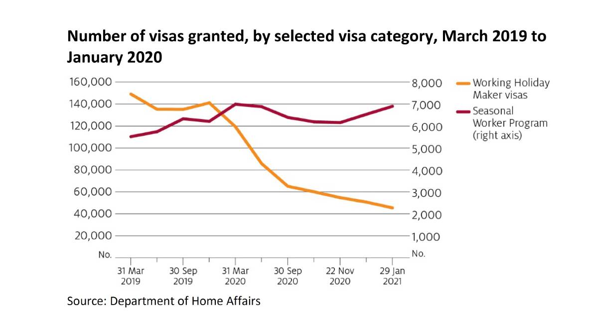 Figure 1: A visualisation of the drop in working holiday maker visas granted from March 2019 to January 2020. 