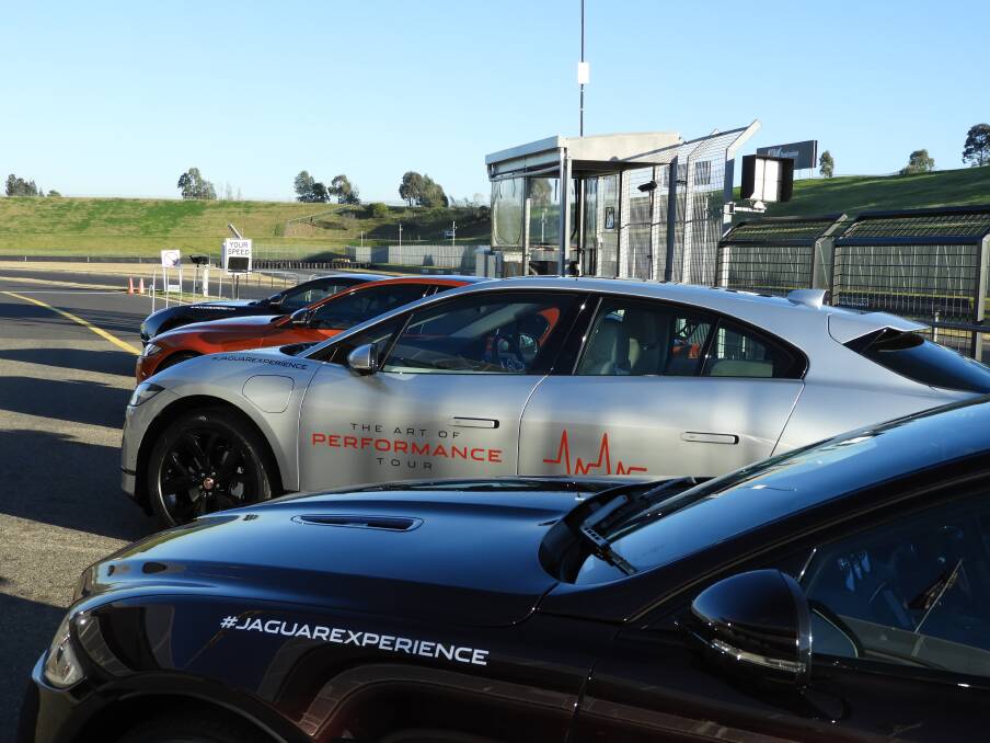 ROLLING THUNDER: Jaguars of all types prepare for work at Sydney Motorsport Park.
