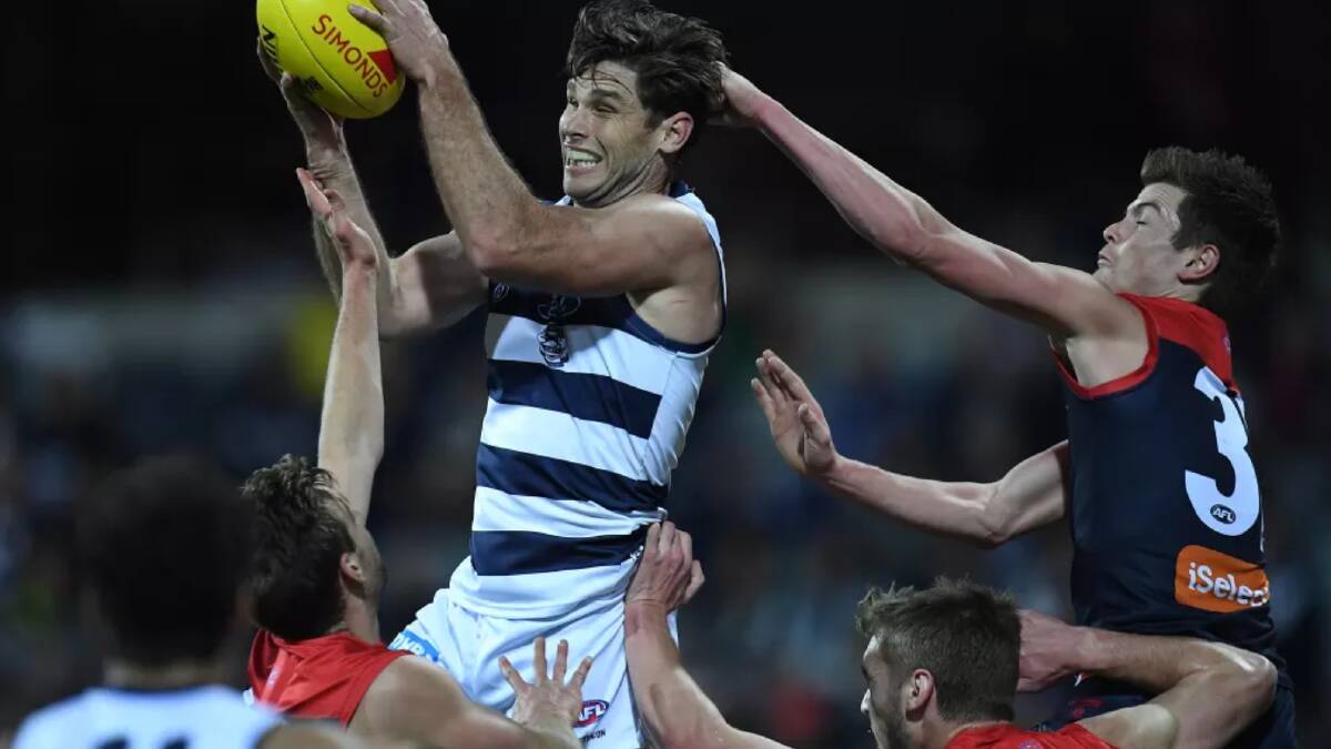 Tower of strength: In-form Geelong forward Tom Hawkins will be a big test for the Melbourne defence. Photo: AAP