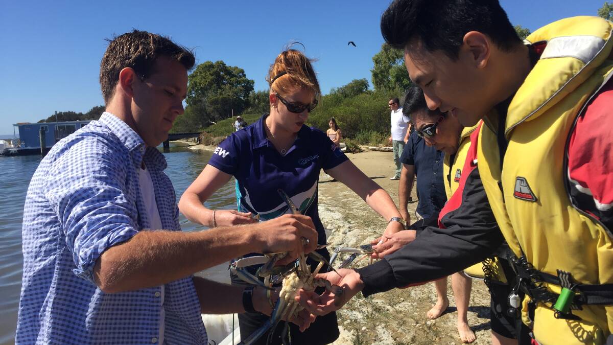 Rhys Williams and Kat Armstrong showing tourists the Blune Manna crab. Photo: Caitlyn Rintoul.