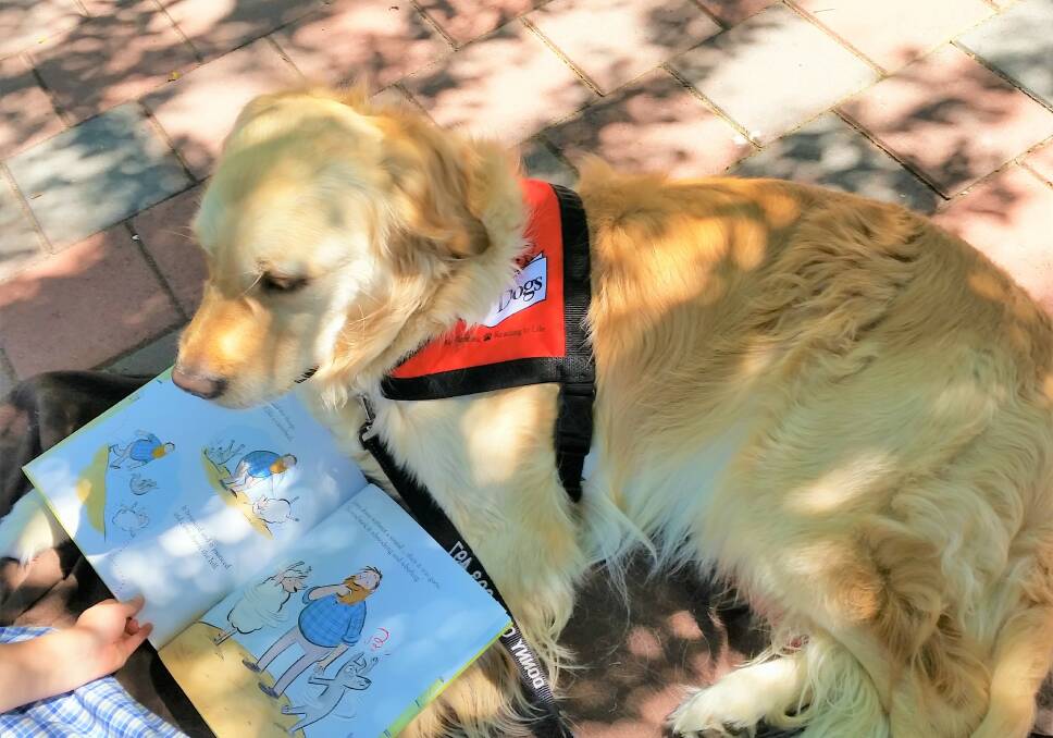Tails wagging: Story Dogs is a national initiative to assist students in improving their literacy in a non-judgmental space. Photo: Supplied. 