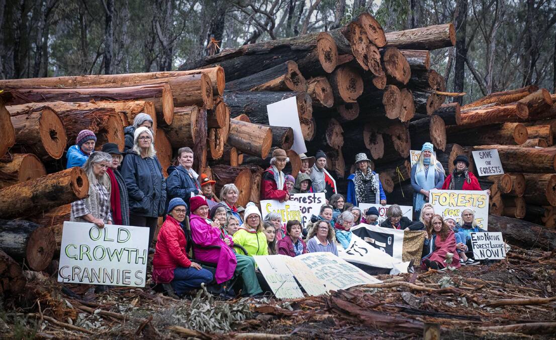 Nannas for Native Forests, a group of women from the Margaret River and Busselton area, at a blockade in Nannup last year. Photo by Mike Wylie. 