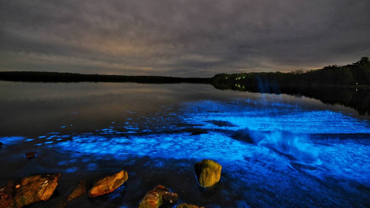 Algal bioluminescence at St Georges Basin, near Jervis Bay. Picture by Michael Samson
