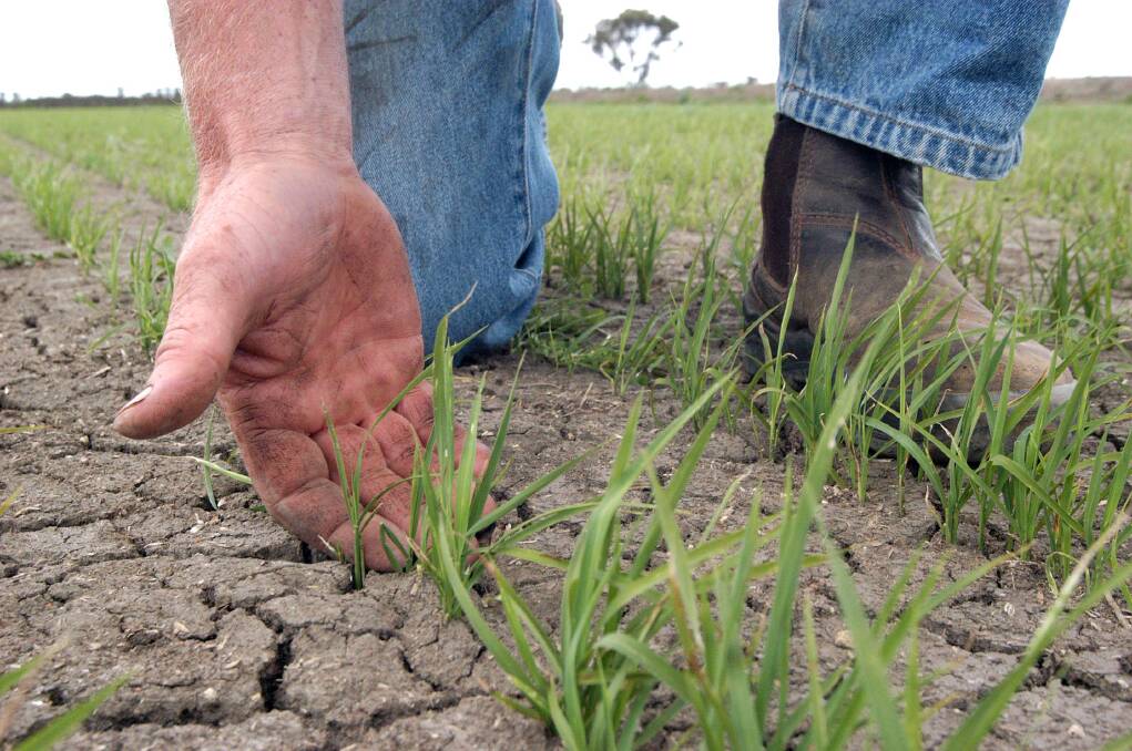 HARD TIMES: The cracks in the earth are the real life scars of regional communities. Photo: The Irrigator 