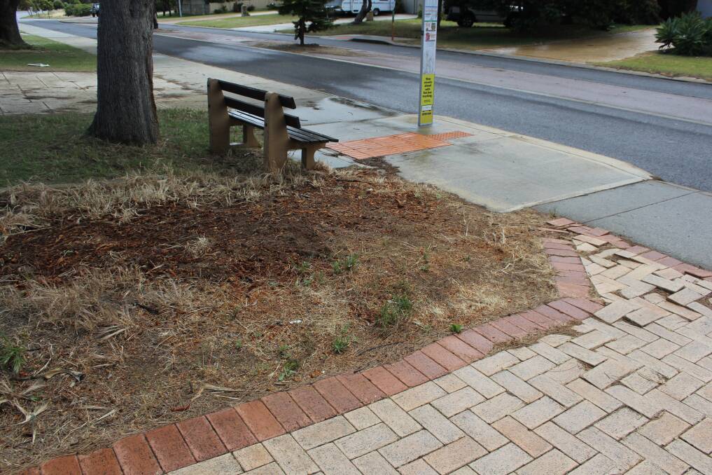 The street tree was removed after it was deemed unhealthy. Photo: Claire Sadler.