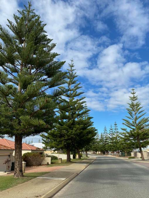 The Mandurah Mail has been swamped with calls and letters from residents frustrated about damage to their properties and verges. Photo: File image.
